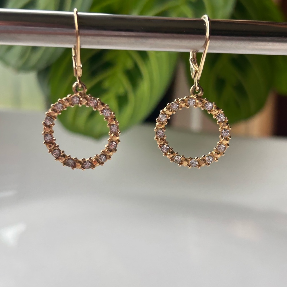 (5/$5 Deal) Avon Hoop Earrings
